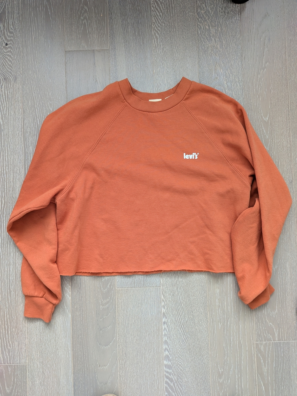 Levi's Cropped Crew Sweatshirt in Terracotta